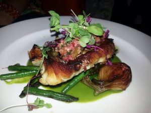 Yellowtail Snapper