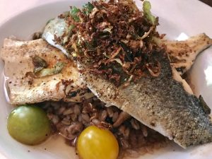 The Galley - Rainbow Trout Special