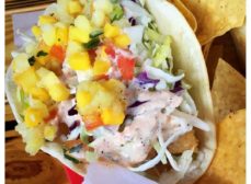 Jimmy Hula’s Dec 11th Grand Opening – $19,700+ Free Tacos in Giveaways!