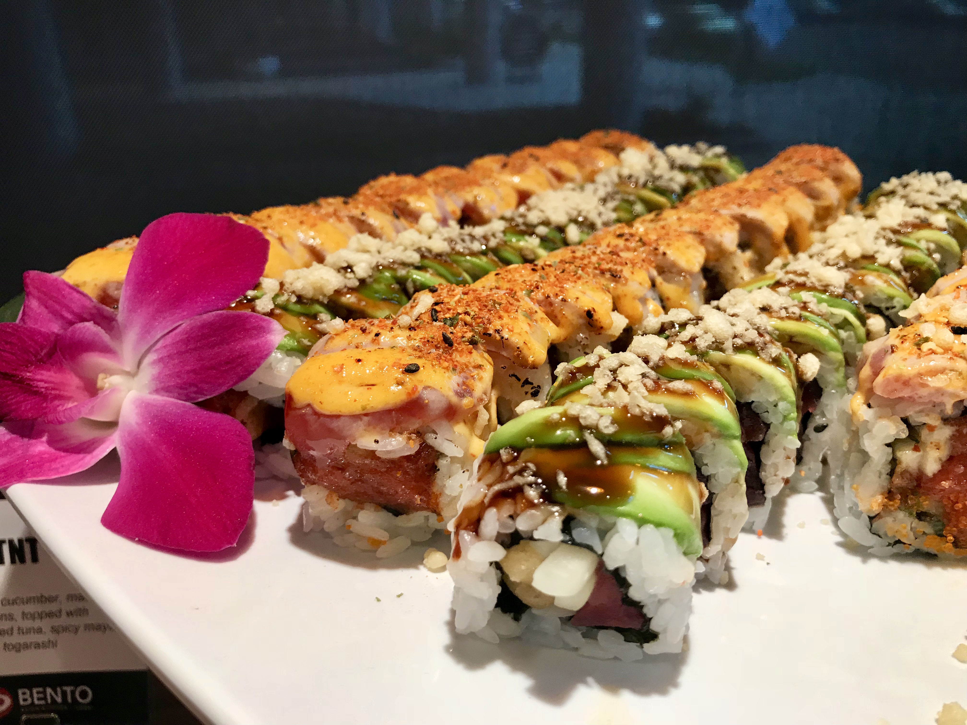 bento-asian-kitchen-sushi-review-downtown-st-petersburg-fl-october-2018