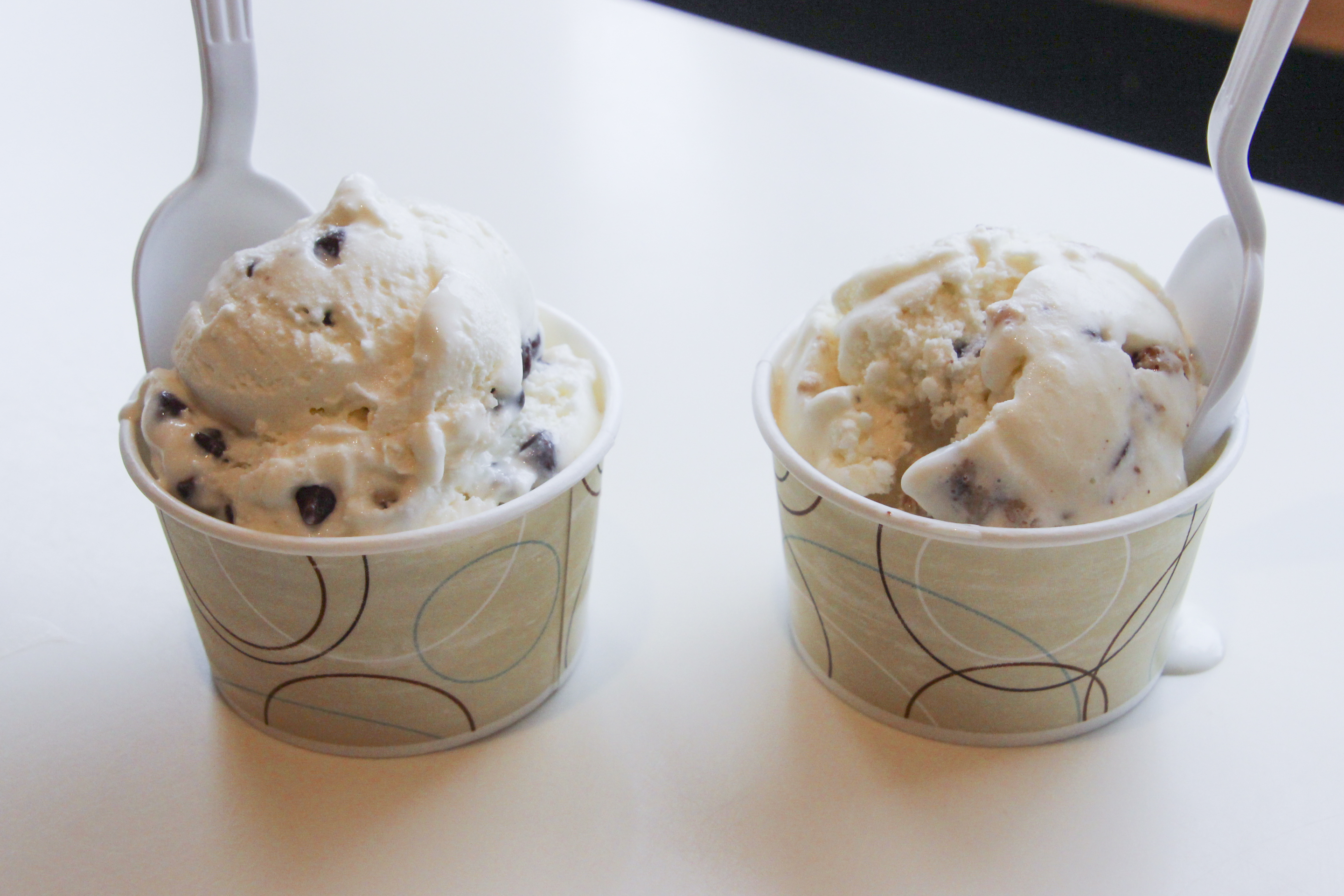 Mint Chip and Cookie Dough Homemade Ice Cream