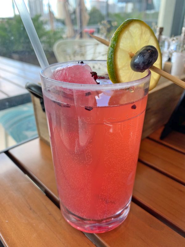 Paul's Landing, St. Petersburg FL January 2019 Review