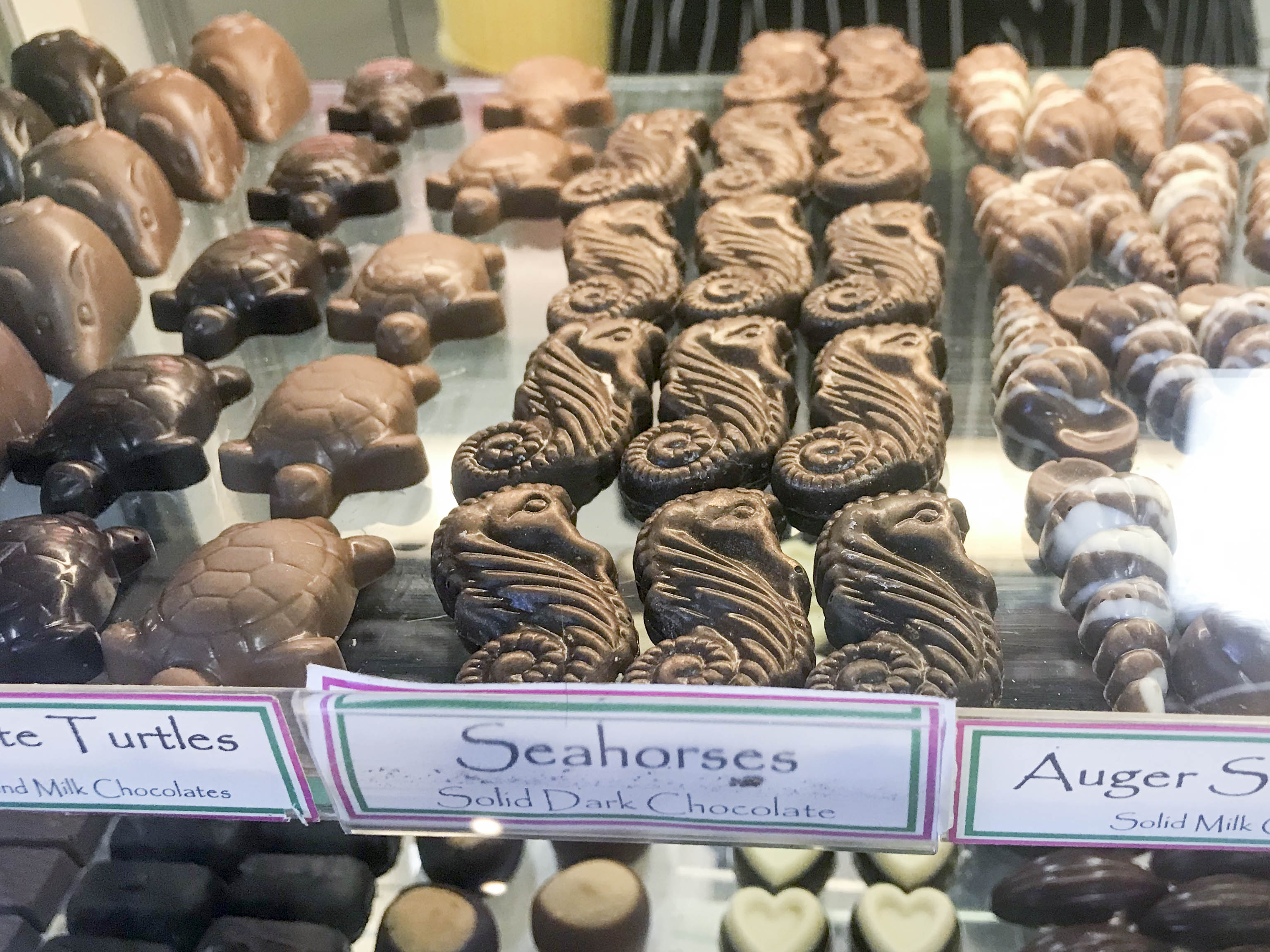 Chocolate Seahorses