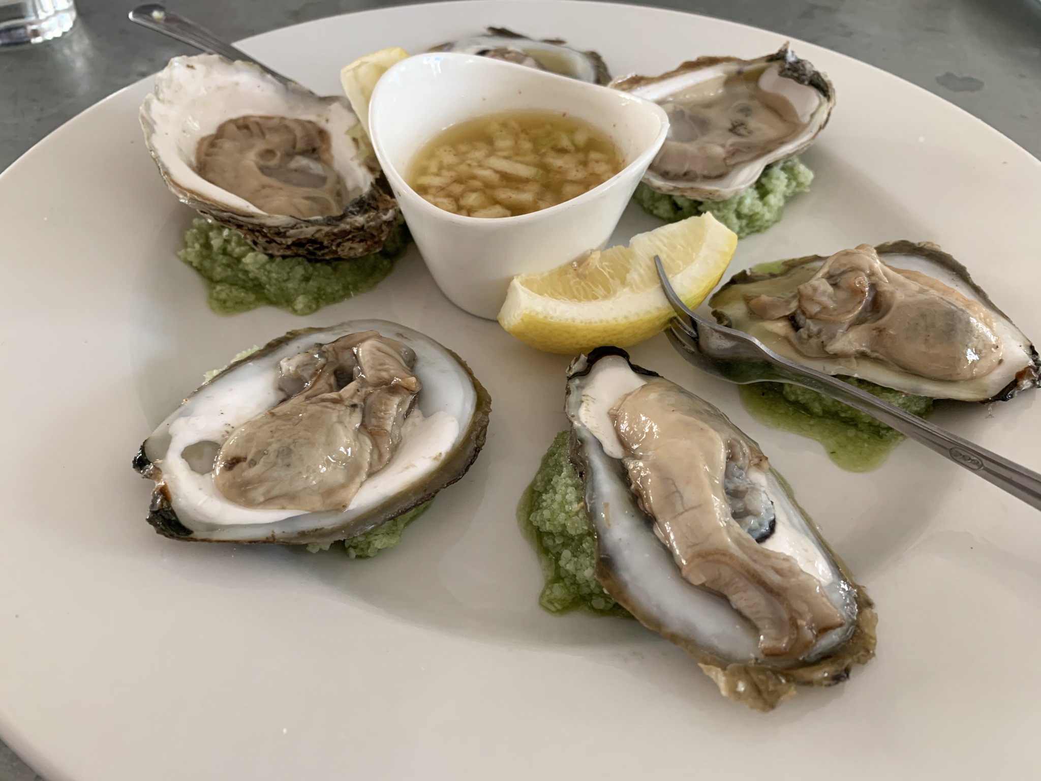 fresh oysters near me