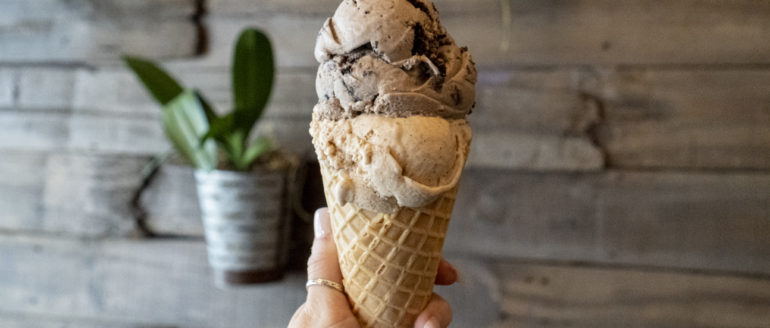 Plant + Love Ice Cream: A Place for Vegans to Scream for Ice Cream