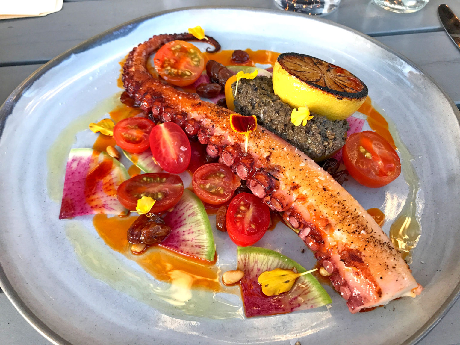 10 Best Octopus Dishes in St Petersburg & St. Pete Beach FL 2021