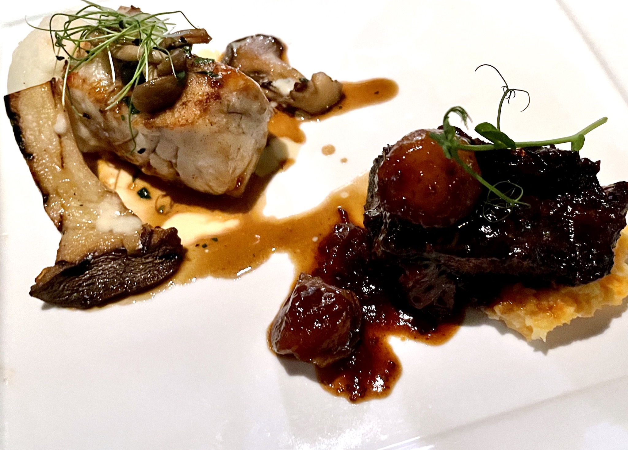 Sea Salt - Grouper with wild mushrooms brown butter glaze; Braised short rib with caramelized pearl onions on a bed of root vegetables