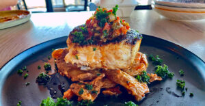 Black-Grouper-cropped