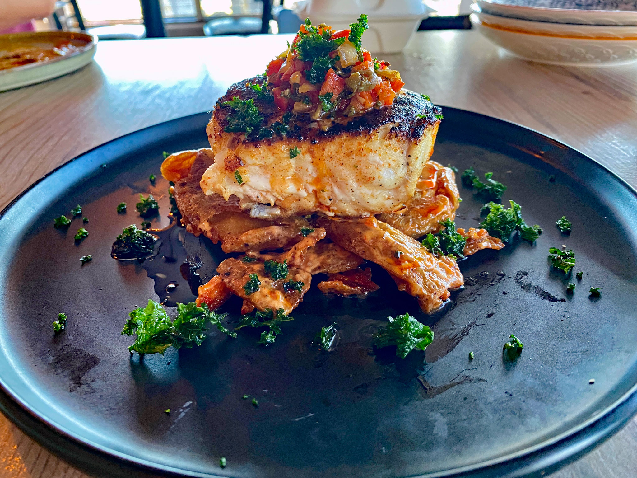 Black Grouper